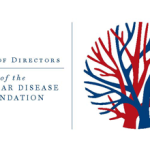VDF seeking new Board members 2013